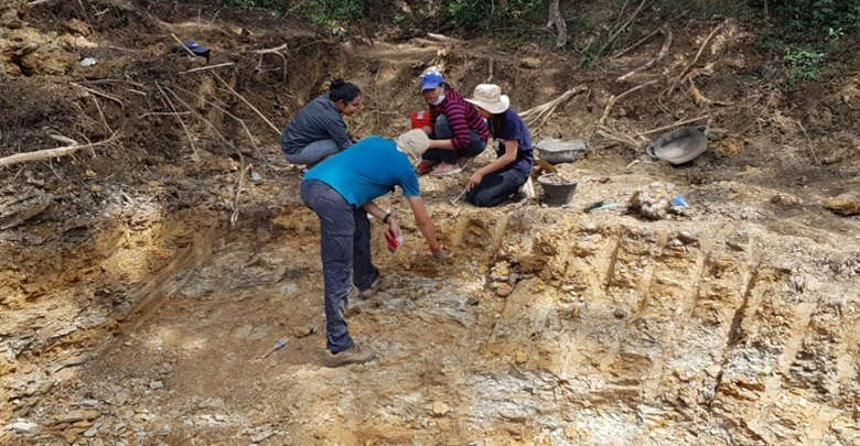 นักวิจัยลงสำรวจเพชรบูรณ์ ขุดพบฟอสซิลปลาอายุ 15 ล้านปี ชี้ เคยเป็นทะเลสาบน้ำจืด