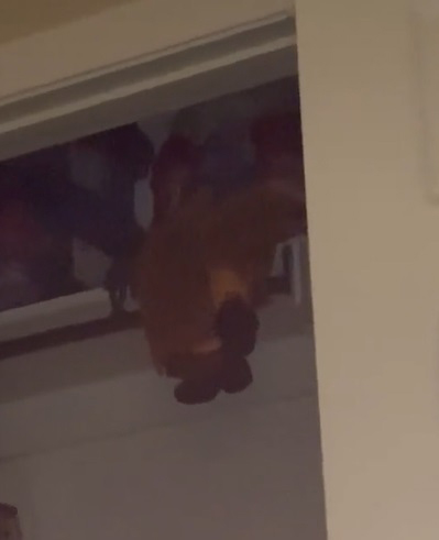 ขนลุกซู่ สาวอัดคลิปเจอตุ๊กตาผีสิง ขยับเท้าเอง เคาะเป็นจังหวะ ทำช็อกหัวใจจะวาย