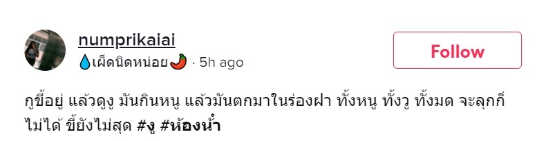 สาวกรี๊ดนั่งปลดทุกข์เพลิน ๆ เงยหน้าเจองูกินหนูโผล่ให้เห็นจะจะ ลุกไม่ได้..มันยังไม่สุด