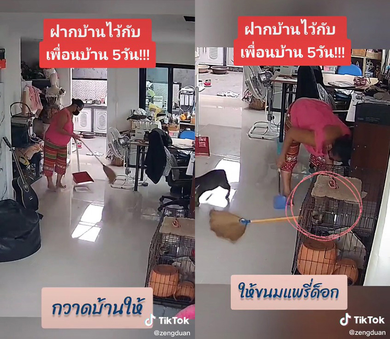 ไวรัลใจฟู.. ฝากบ้านไว้กับยาย ดูแลประหนึ่งญาติ เพื่อนบ้านแบบนี้น่ารักเกินปุยมุ้ย