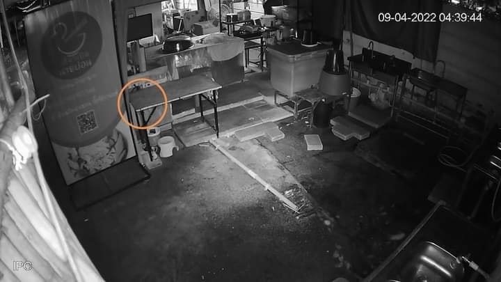 อิหยังนิ ?! สาวสองสายมึน จิ๊กน้ำยาล้างจาน นั่งแหกขาล้างก้นกลางร้านก๋วยเตี๋ยว