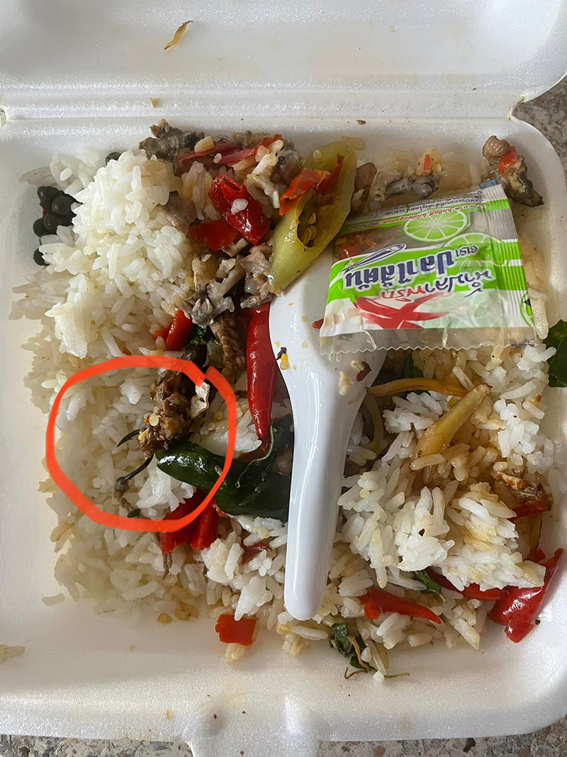 กะเพรากบเกือบปลิดชีพ ตอนกินเข้าไปรู้สึกแข็ง ๆ คายออกมารู้เลย..กลืนเข้าไปตายแน่ ๆ