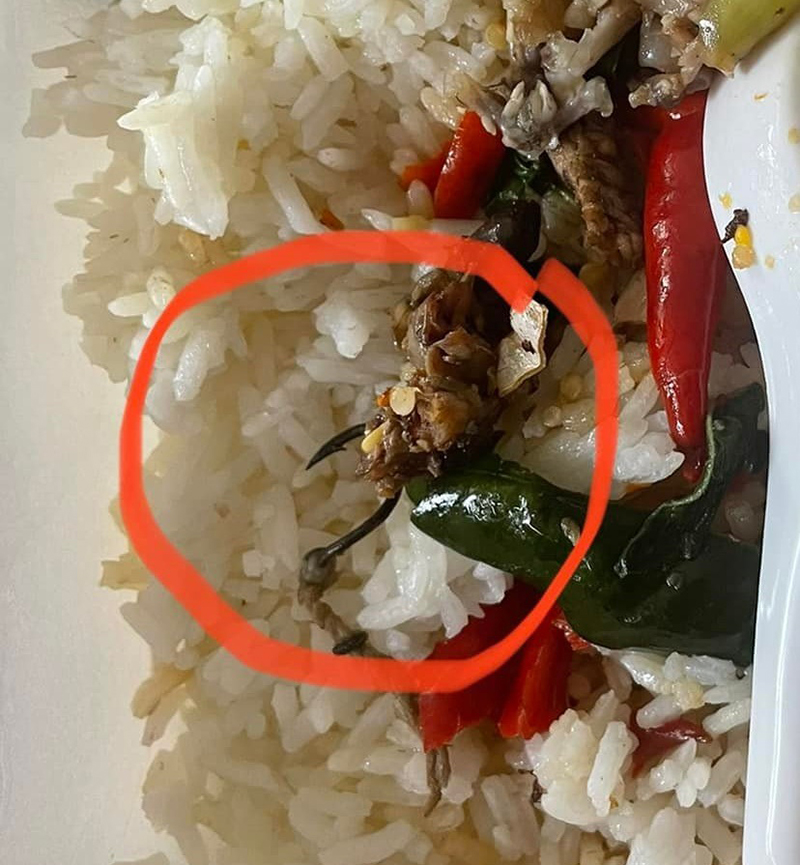 กะเพรากบเกือบปลิดชีพ ตอนกินเข้าไปรู้สึกแข็ง ๆ คายออกมารู้เลย..กลืนเข้าไปตายแน่ ๆ