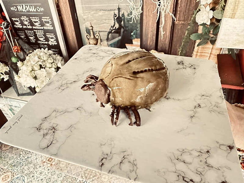 ตกใจจะบ้า เห็บหมาไซซ์เท่าชิวาว่า ขนลุกซู่ พอซูมดูรู้ว่าคืออะไร ปรบมือให้คนทำ !