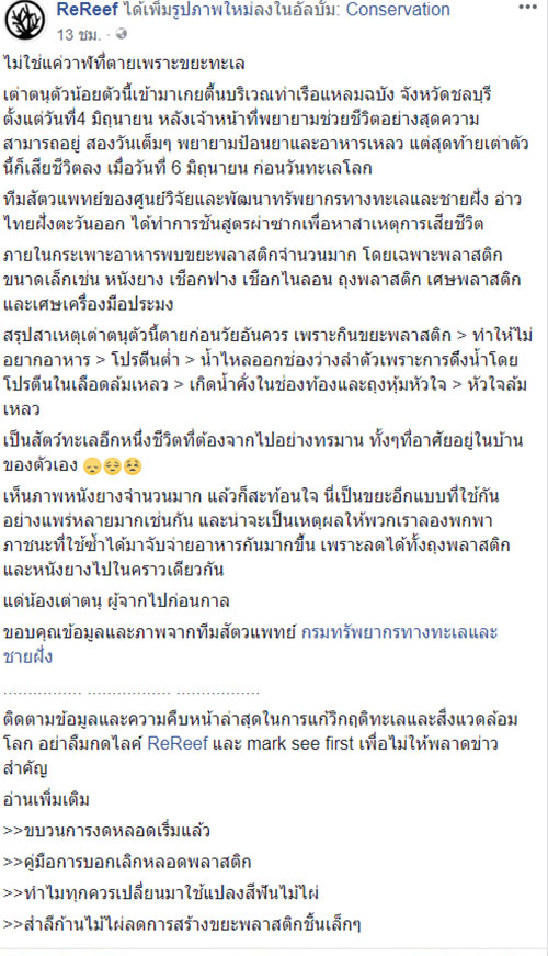 เต่าตนุกินขยะ