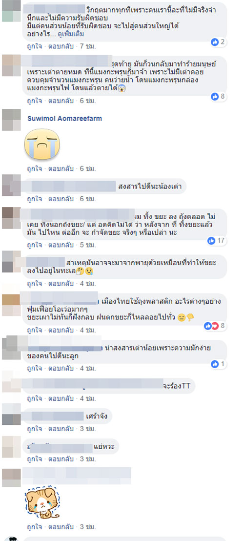 เต่าตนุกินขยะ