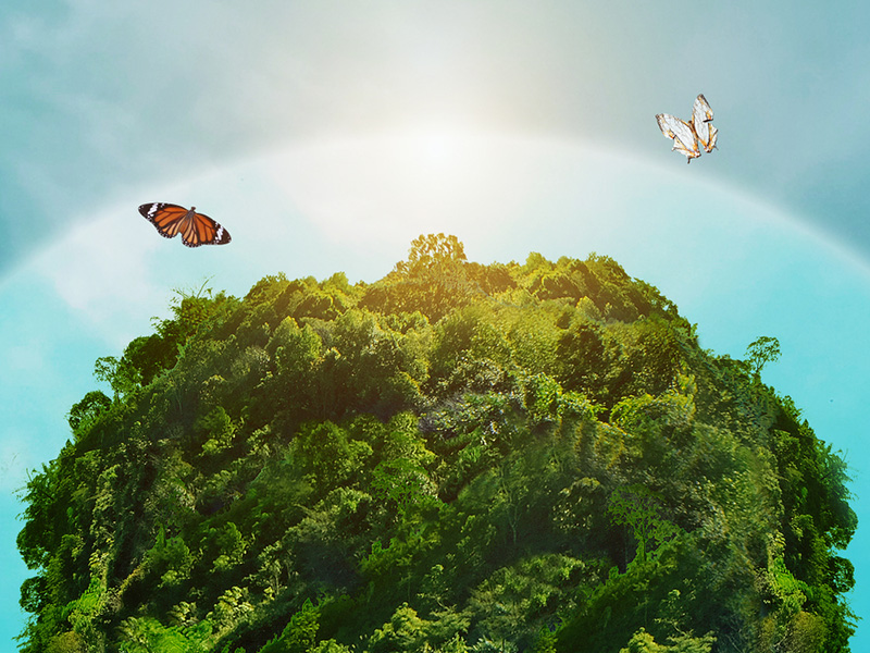 วันโอโซนโลก