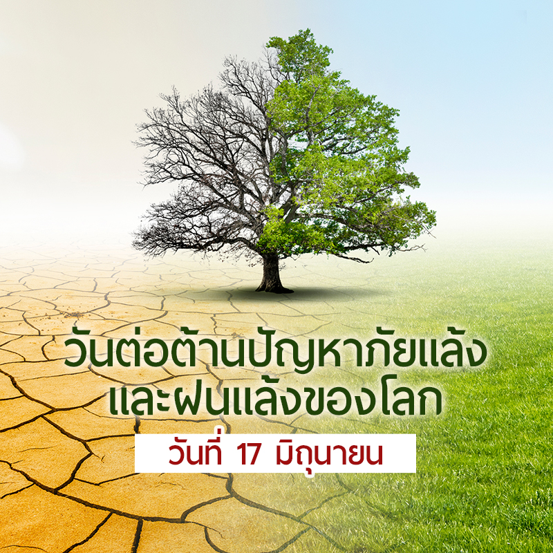 วันต่อต้านปัญหาภัยแล้งและฝนแล้งของโลก ตรงกับวันที่ 17 มิ.ย. ของทุกปี