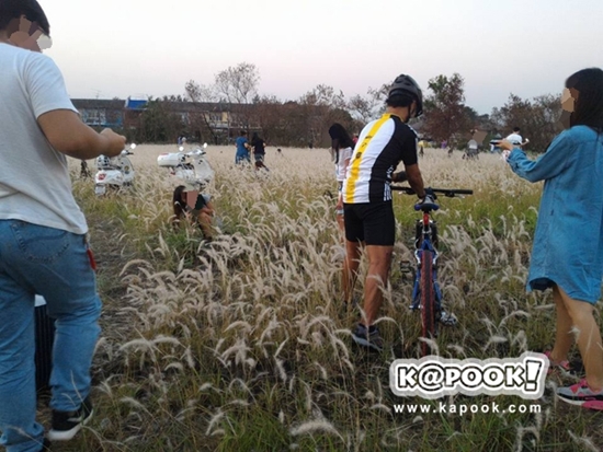 ทุ่งดอกหญ้า เกษตร นวมินทร์