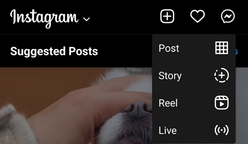 วิธีเล่น ig