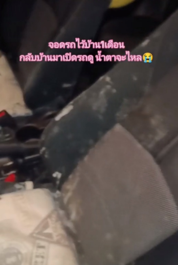 ไวรัล TikTok