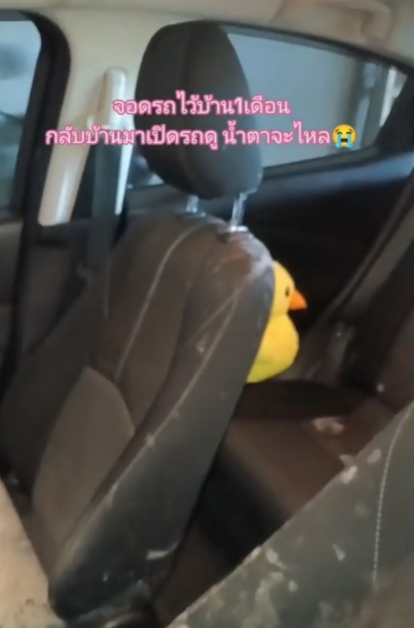 ไวรัล TikTok