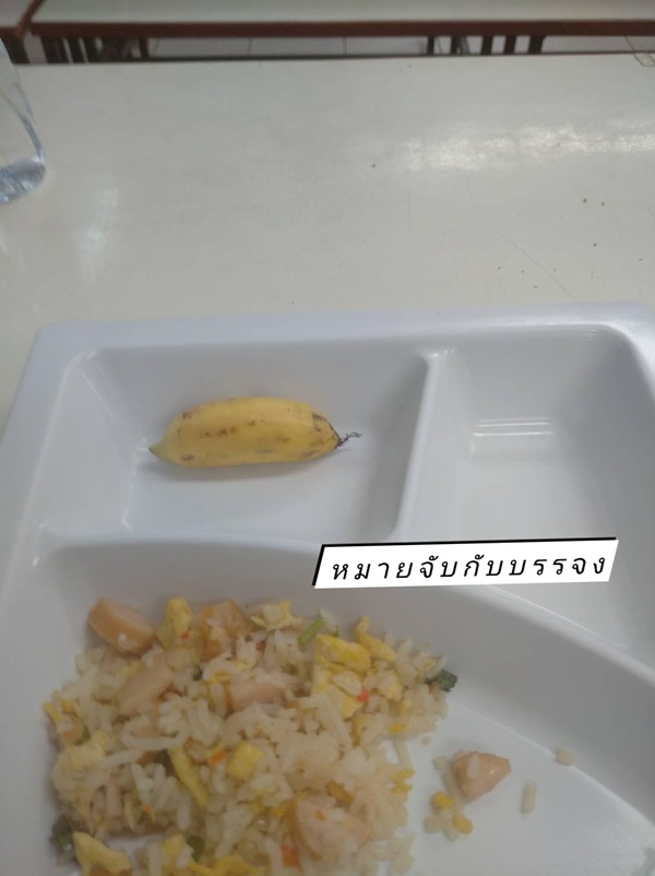 แฉอาหารกลางวันเด็ก