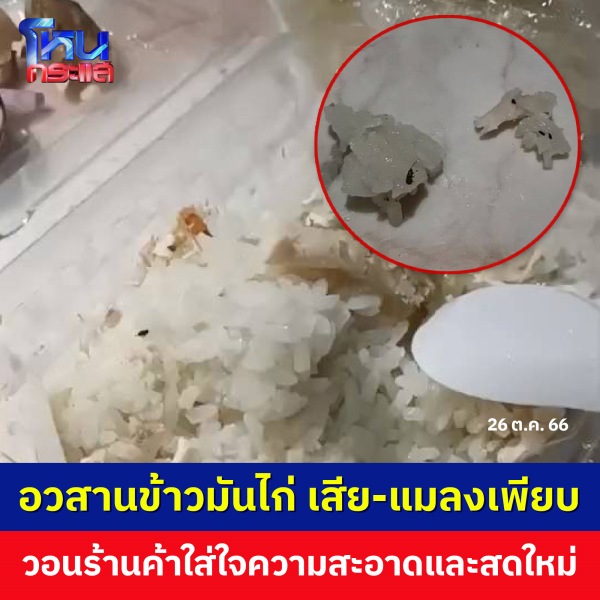 ข้าวมันไก่