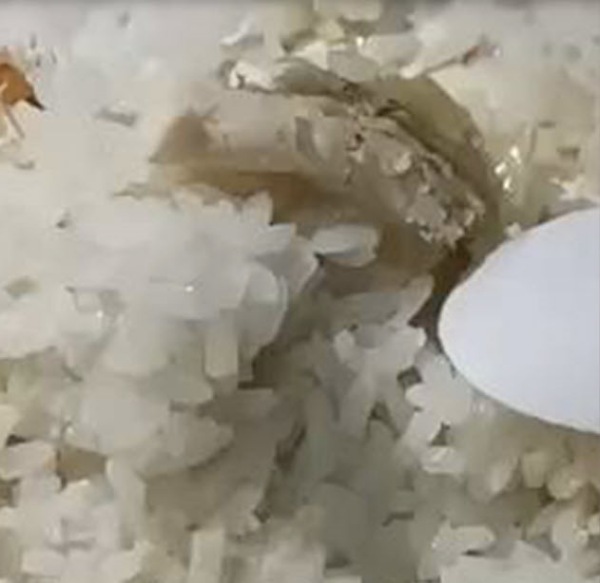 ข้าวมันไก่