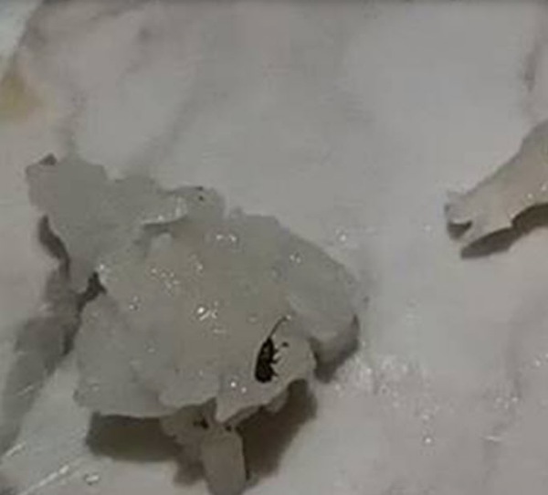 ข้าวมันไก่