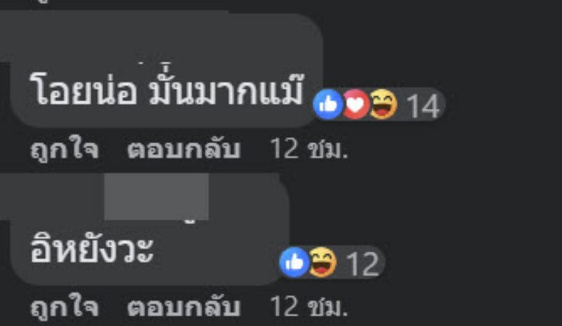ขอแทรกเลน