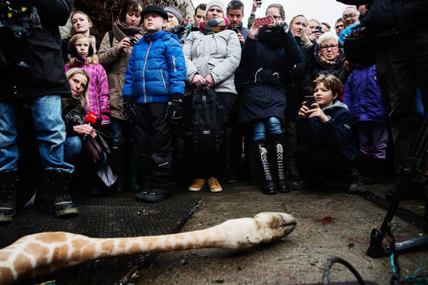 ไทม์เผย 100 ภาพแห่งปี 2014 จากเหตุการณ์ต่าง ๆ รอบโลก