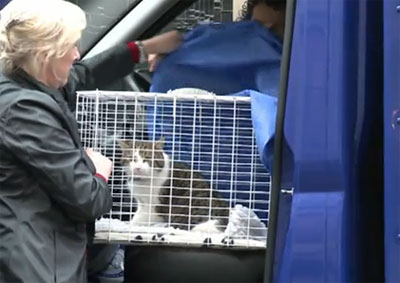 แลร์รี่ ทับบี้