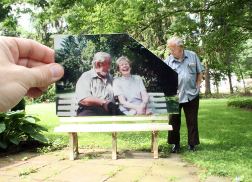 Dear Photographs