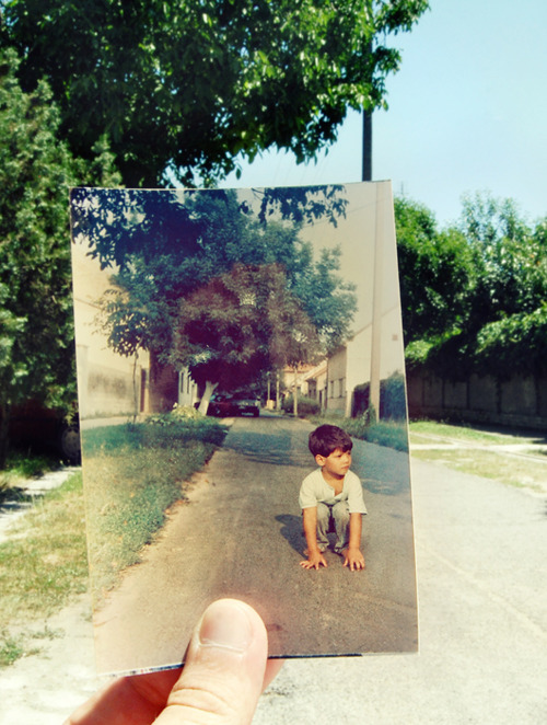 Dear Photographs