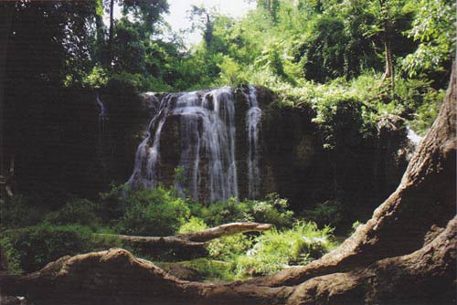 เทคนิคการถ่ายภาพ