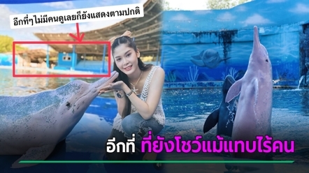 เปิดภาพที่เที่ยวดัง คนน้อยจนใจหาย ยังคงโชว์โลมายิ้มแย้ม แม้อัฒจันทร์แทบไร้คนดู