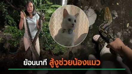 หญิงเล่าระทึก นาทีช่วยน้องแมวหวิดถูกงูเขมือบ ช็อกงูเปลี่ยนเป้ามารัดขาเจ้าของแทน