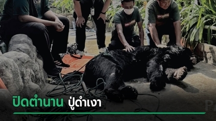 ปิดตำนาน ปู่ดำเงา จากคู่หมีควายอายุยืนสุดในไทย กว่า 40 ปี ที่อยู่ในสวนสัตว์พาต้า