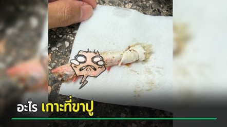 สั่งตำปูม้ามากิน สะดุดตาเส้นบางอย่างเกาะอยู่พรึ่บ คนเฉลยแล้วคืออะไร สรุปอันตรายไหม